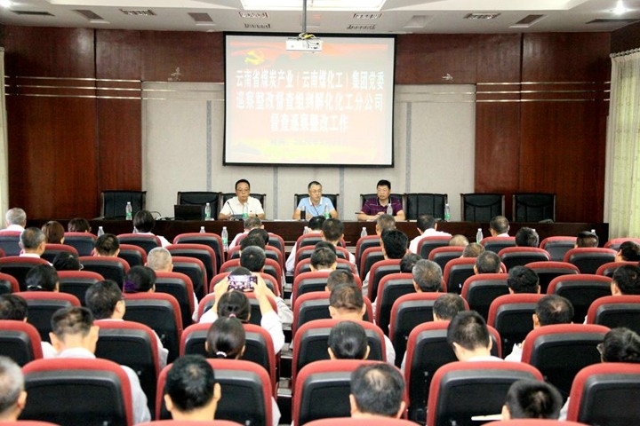 ���ŵ�ίѲ�����Ķ�����Խ⻯�����ֹ�˾��ί��չ������