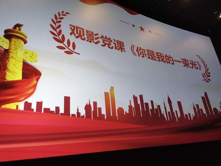 ����ʯ�ͻ�ѧ��ҵ�������޹�˾��ί��֯��չӰϷ�����˶�