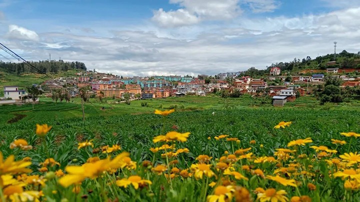 �����������ܡ�����һƽ��ú�����޹�˾֮��λ���