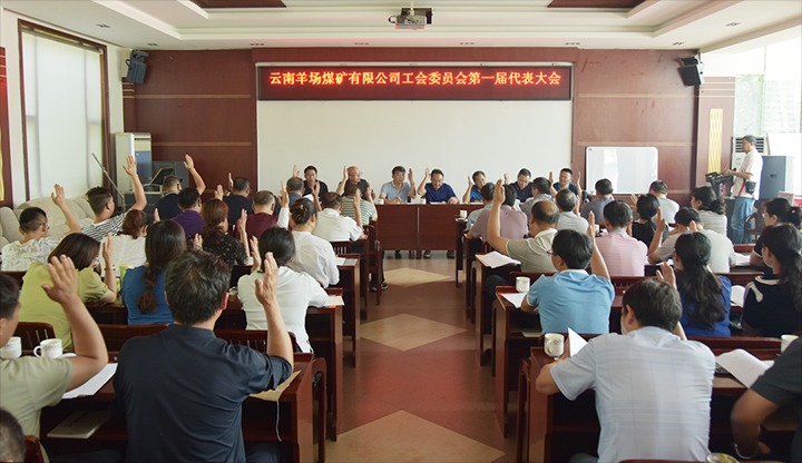 ����Ѷ����ú��˾�ٿ�����ίԱ���һ����������ȷ滯����ί��չ��ɫ�����˶�������ú����Э�������������ú�����������������ٰ�