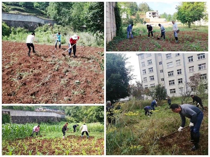 �����������ܡ�������´�ҵ �ƽ��������⡪���򳡿�úҵ��˾������չ���������Ծ��ж�