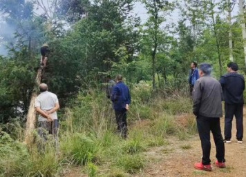 �����������ܡ� ˳Դú��˾���������������� ��������������ʯ