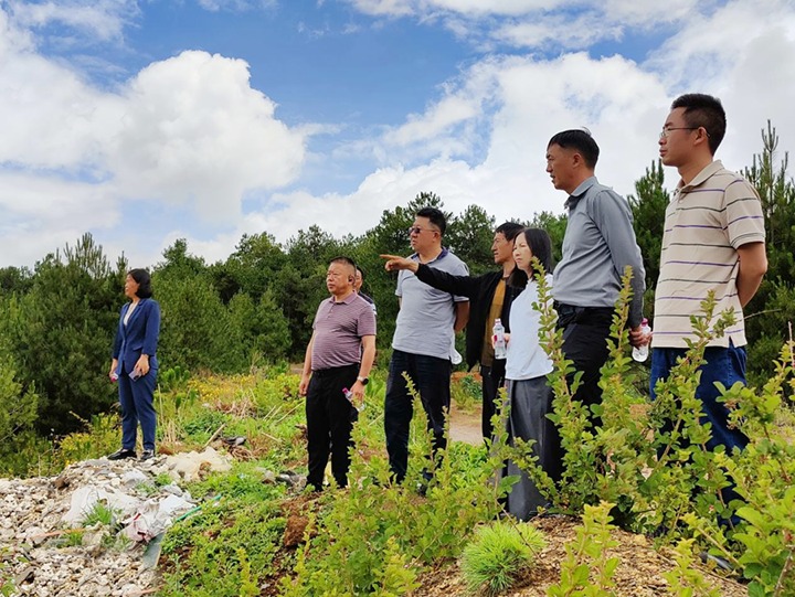 �������������ú��k8��������Ӯ�ң�����רְ�ⲿ���´��ӷ������ŵ�ίίԱ�������ܼ�Ī����������ú�󡢺��ҳ�ú�������ú��չ�����������