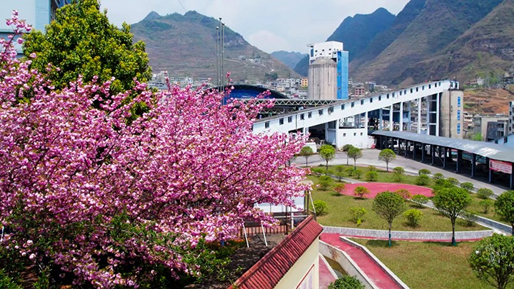 ��ϲѶ������úҵ��˾����һ��ú����������ʡʡ����ɫ��ɽ��¼