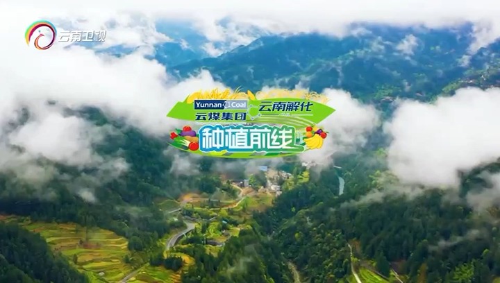 ���۽���ú����������ר�ⲥ������������ �⻯����