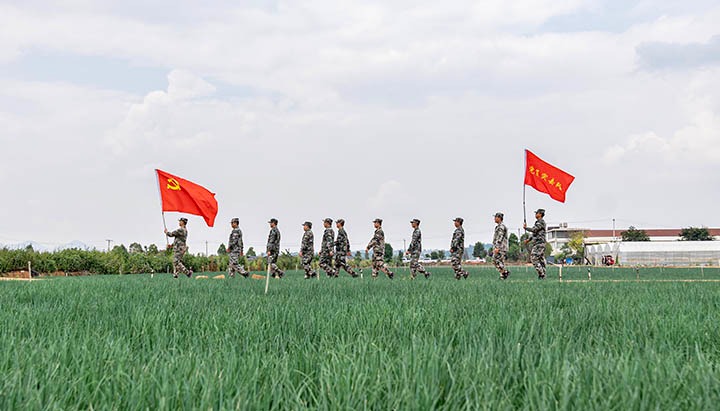 ������Ұ �����׸��⻯Ӫ��սʿ