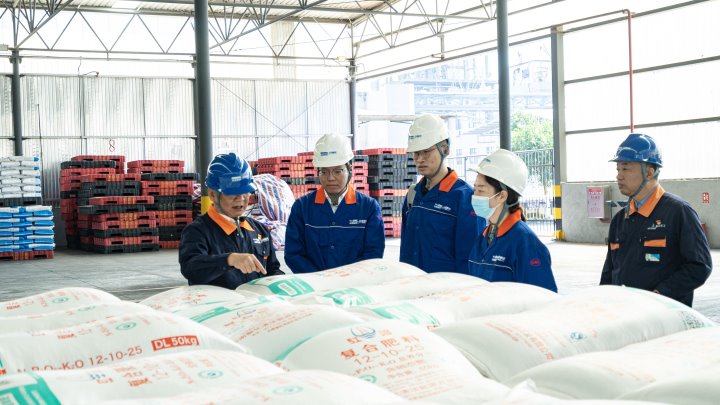 �������������������Эͬ����ƪ�������Ͻ⻯�������ʱ���չ���������˶�