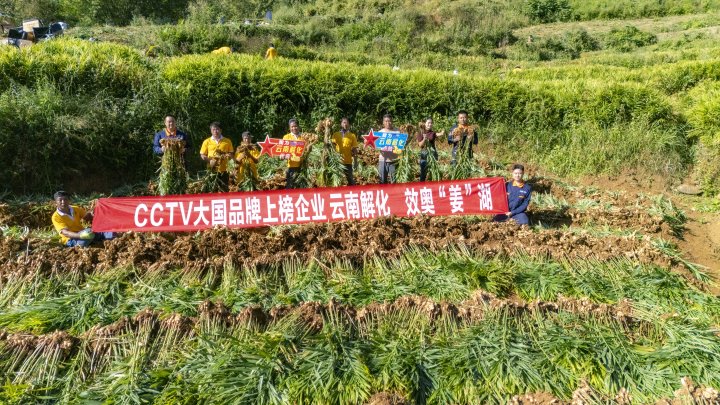 ī����Ǵ���������գ�����ֲ��ʩ�ʵ���ժ�����Ͻ⻯ȫ�̡��ǻ���